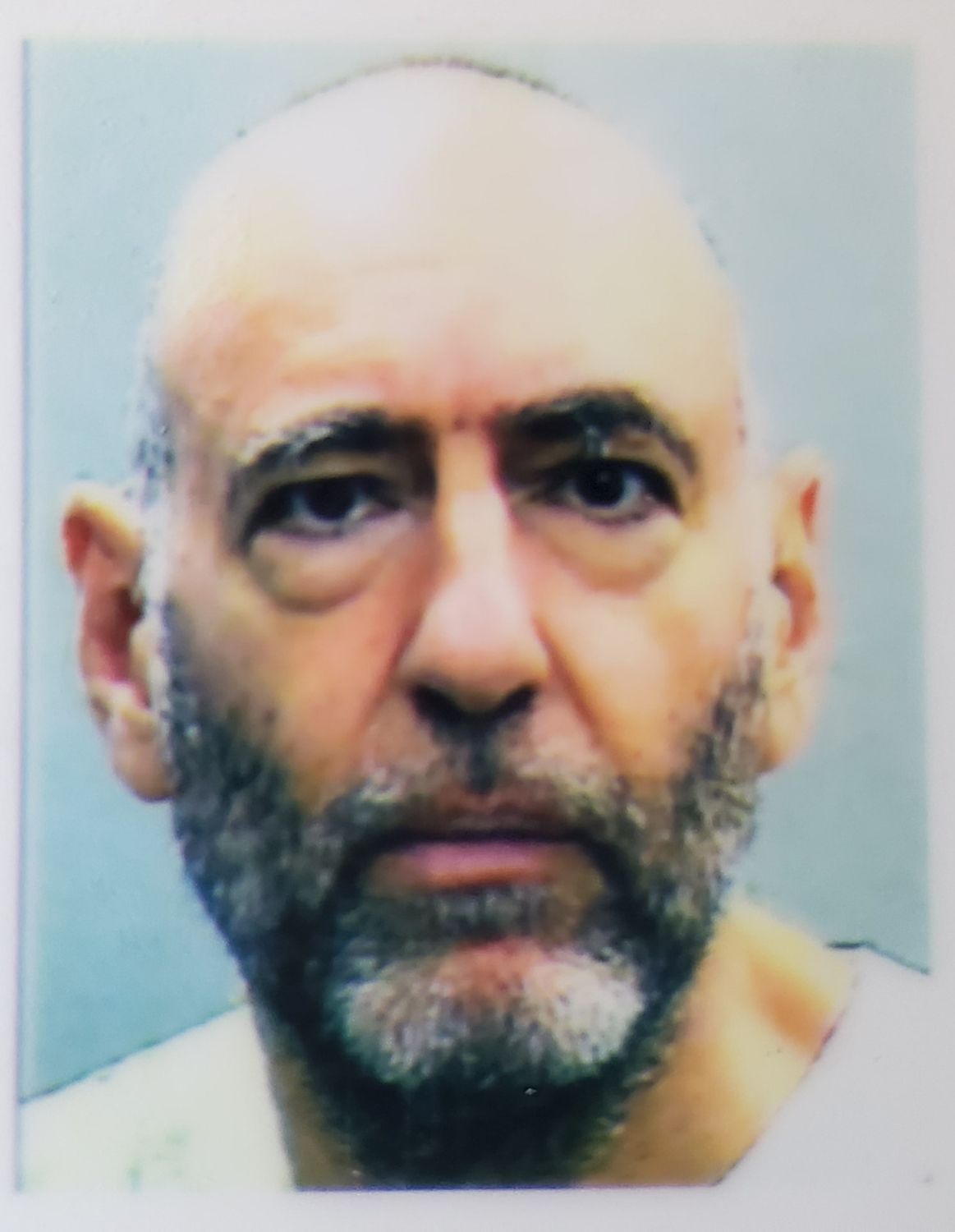 Year of newsletter plus monthly video interviews with Michael Kahn