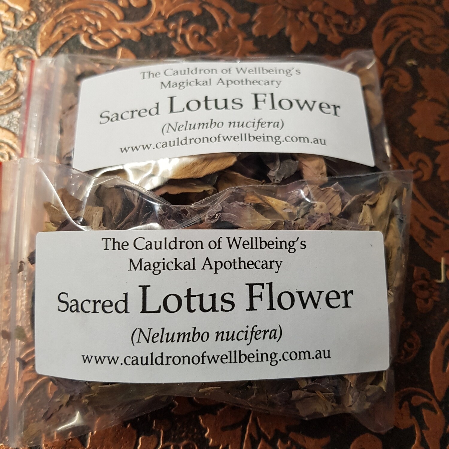 Lotus Flower, Sacred