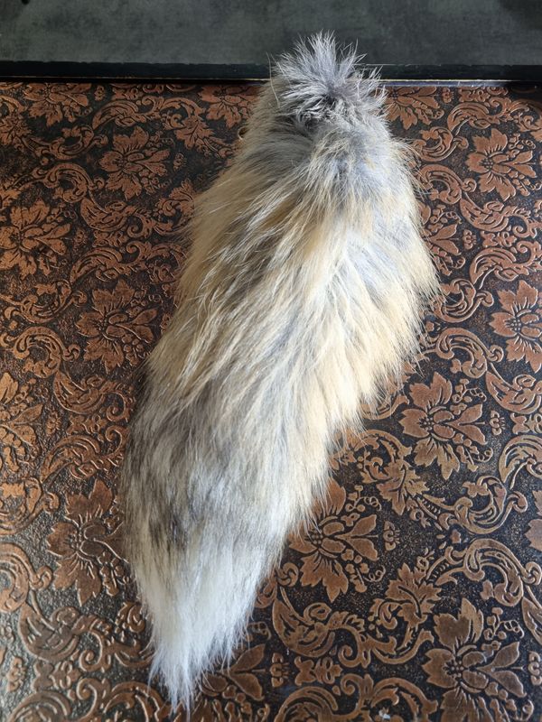 Fox Tail -  Golden Island