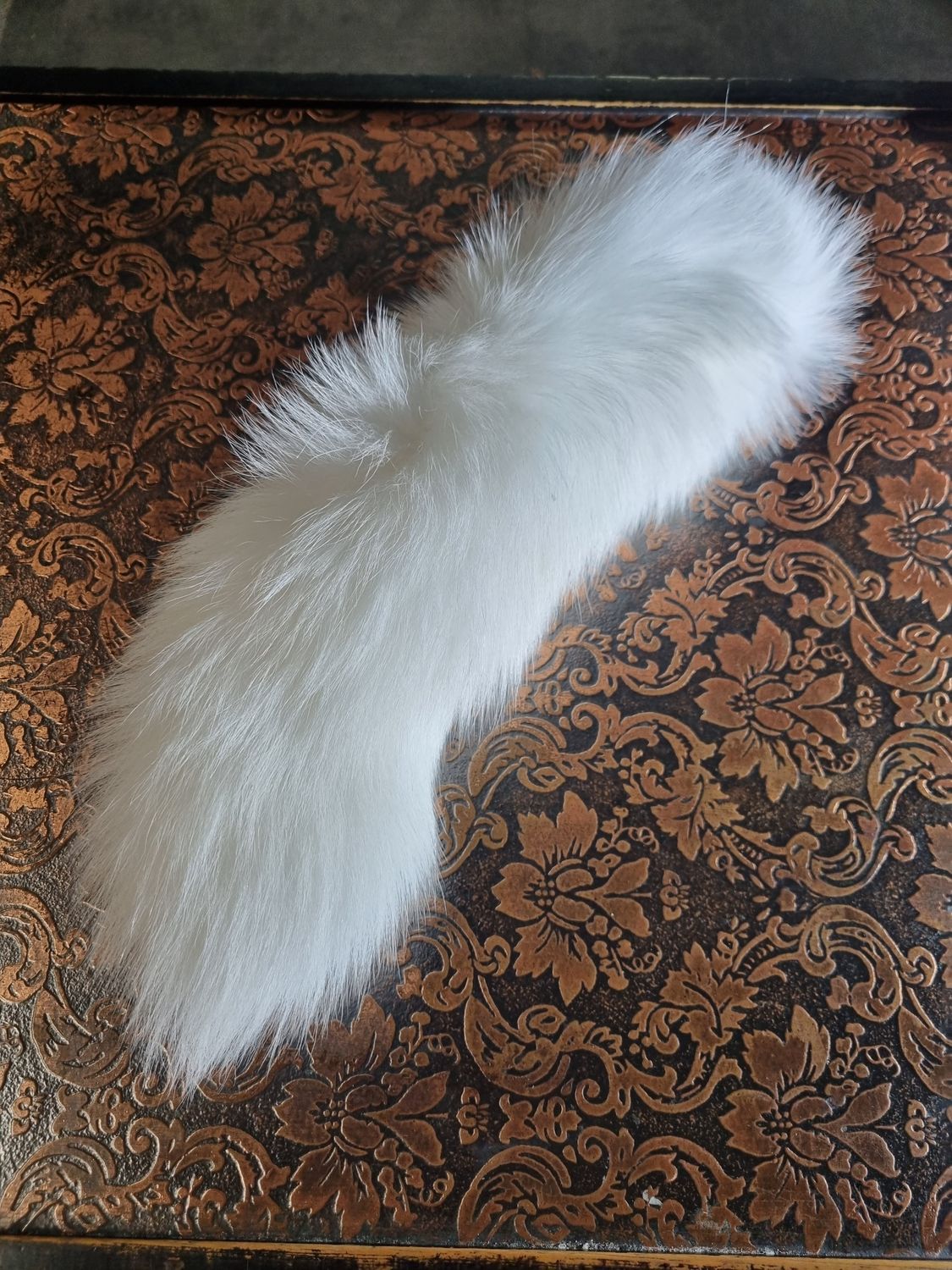 Fox Tail -  White