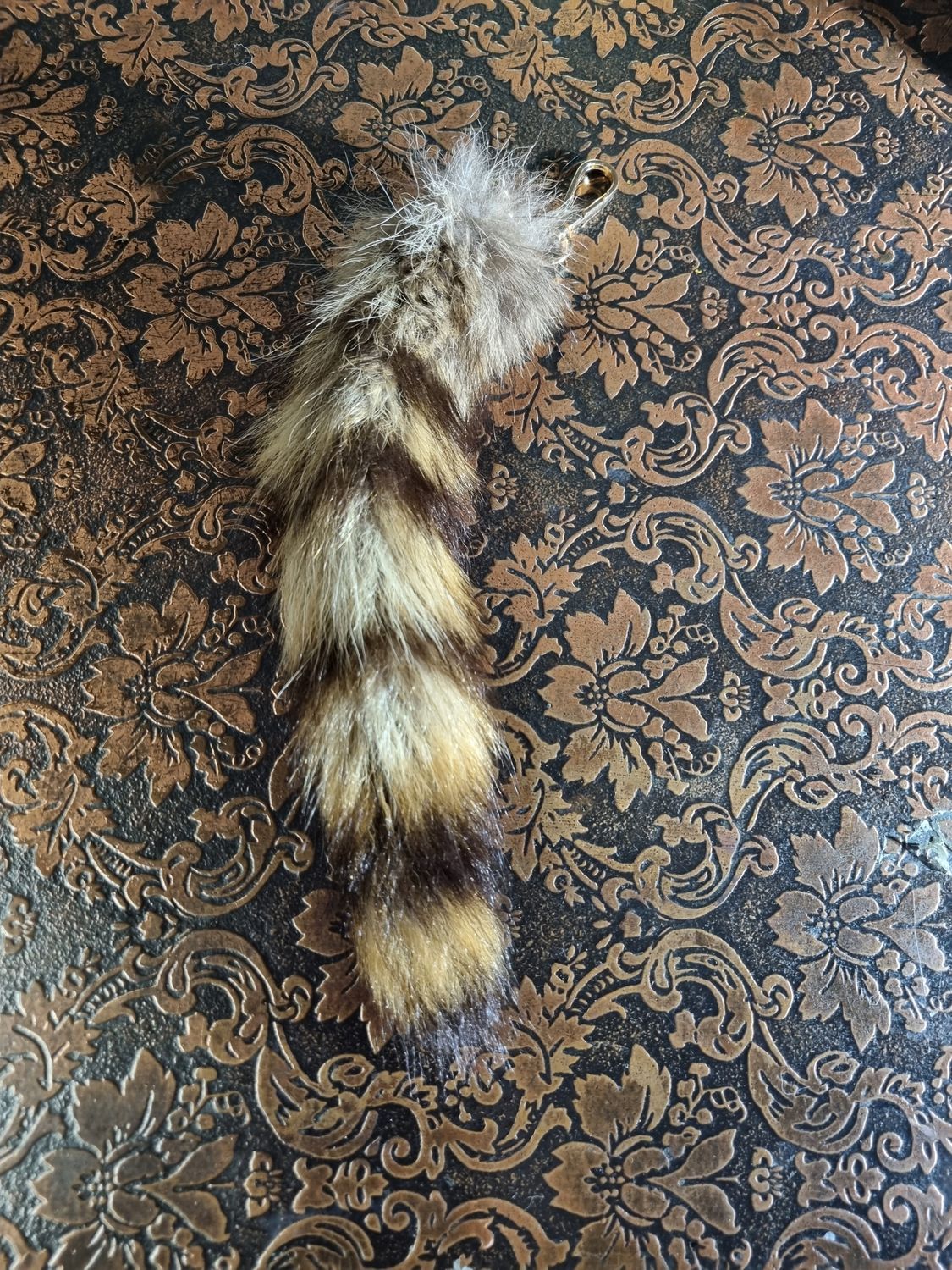 Raccoon Tail