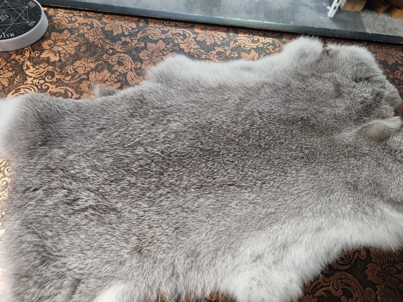 Rabbit Pelt - Grey