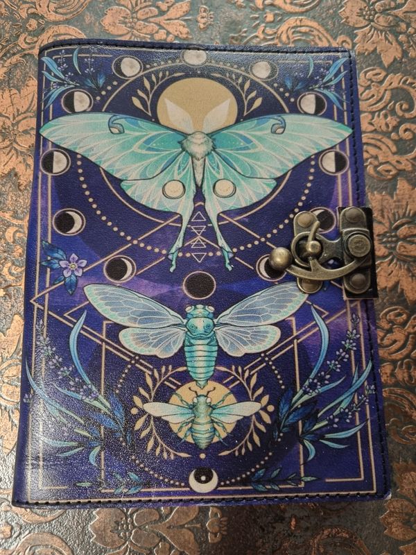 Journal - Metamorphosis