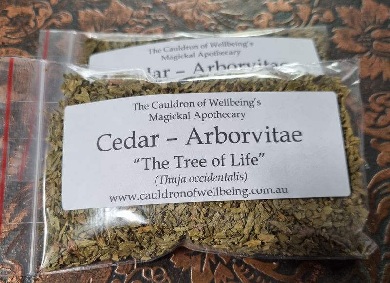 Cedar - Arborvitae