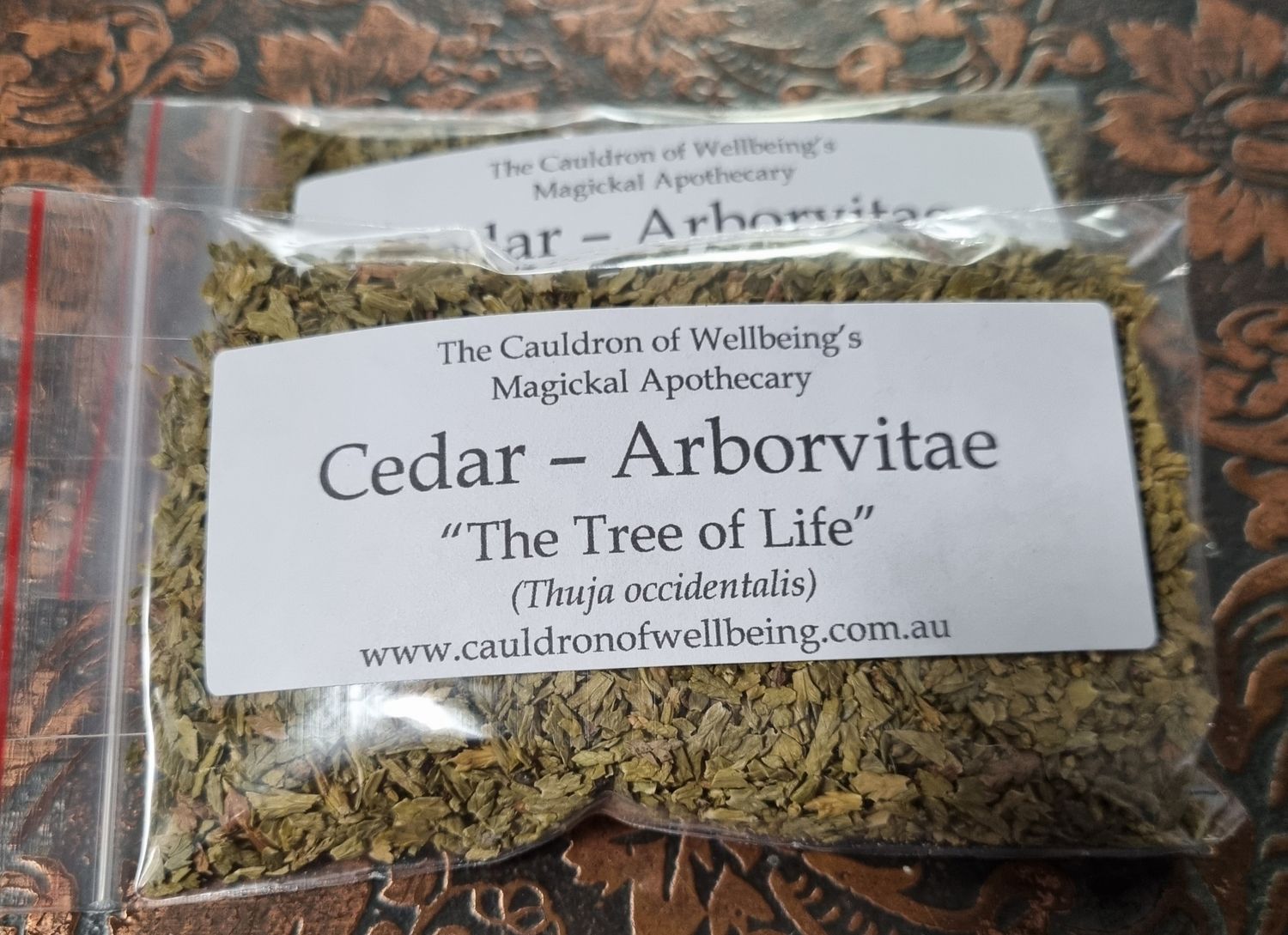 Cedar - Arborvitae