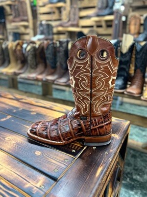 Reyme Aligator Shedron 