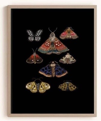 11x14 moth print