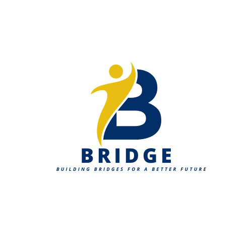 BRIDGE Solutions
