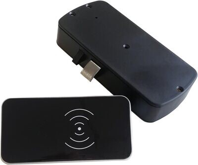 RFID Lock for Cargo Container