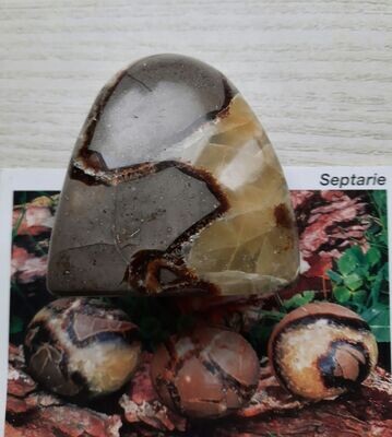 Septarie, Madagaskar, Handschmeichler, ca. 6,5 x 7,0 x 3,5 cm