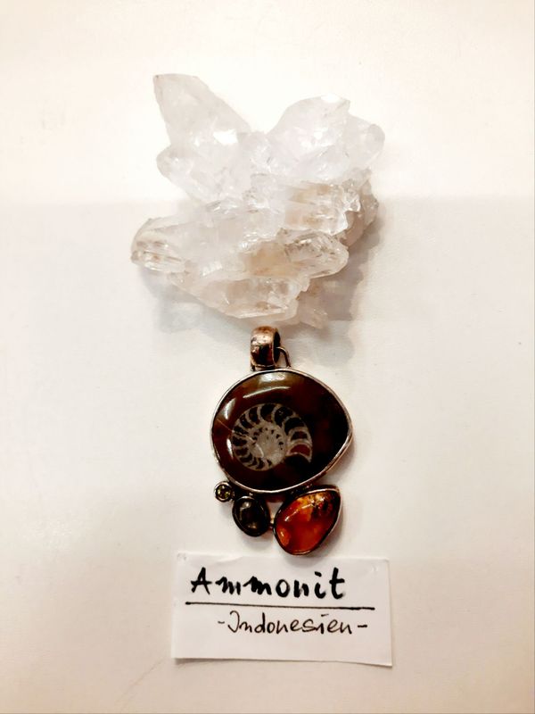 Ammonit-Anhänger trifft auf Bernstein, Labradorit und Peridot. Ein außergewöhnlich schönes Unikat-Schmuck-Teil, in 925-er Silber gebettet.