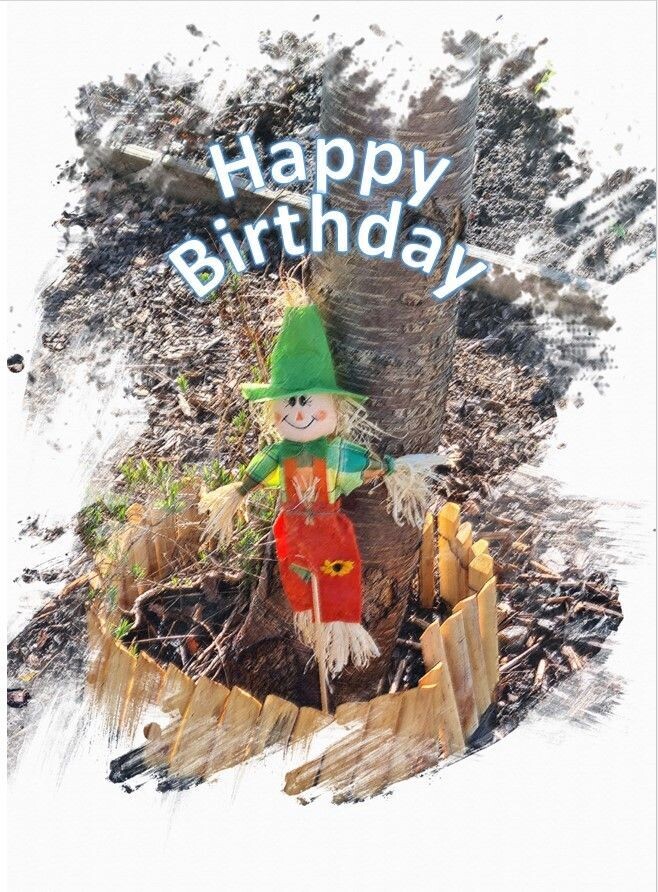 The Scariest Scarecrow