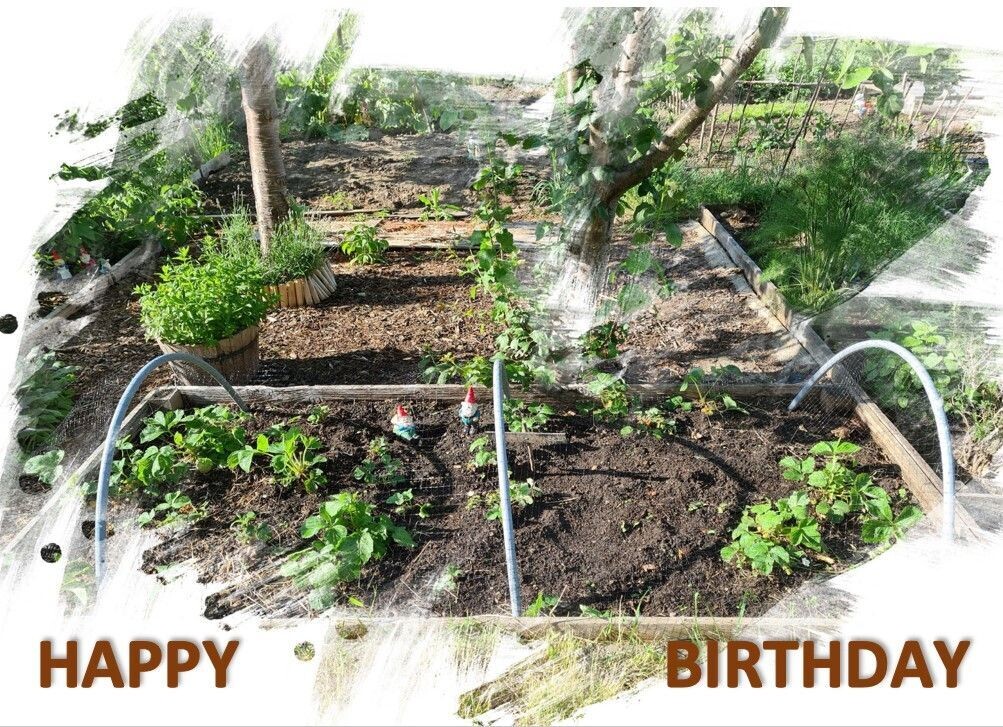 Strawberry Fields Forever