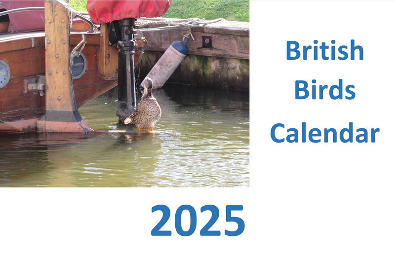 British Birds Calendar 2025