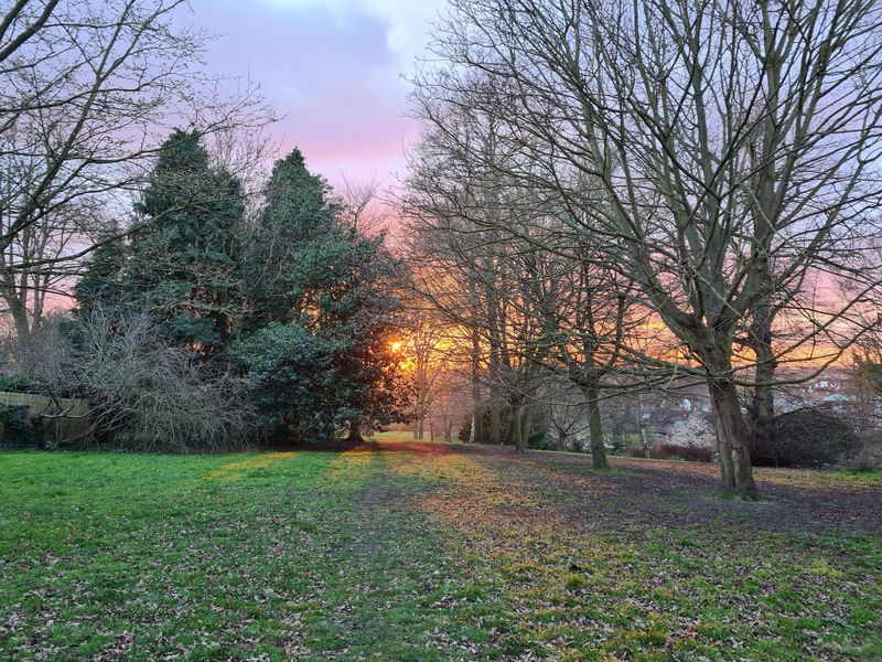 Sunset Over Westow Park