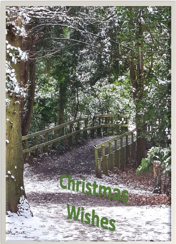 Christmas on Stambourne Bridge