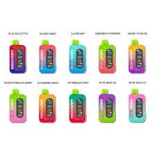 Rodman - Playoffs 50k Disposable 5%, Flavor: Blue Razz Cotton