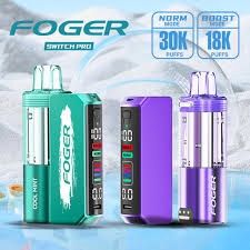 Foger - Switch Pro 30k Kit, Flavor: Watermelon Ice