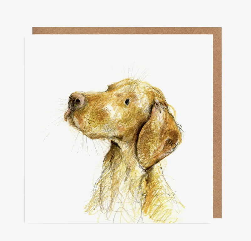Karte „Vizla“