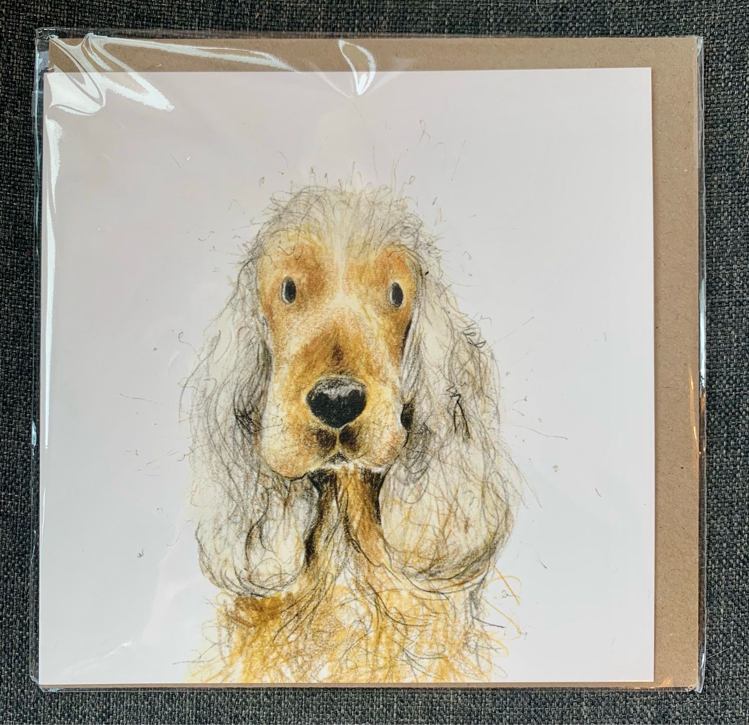 Karte „Cockerspaniel“