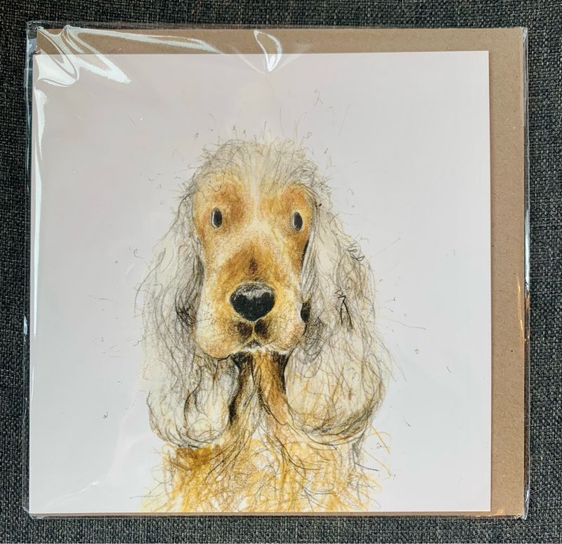 Karte „Cockerspaniel“
