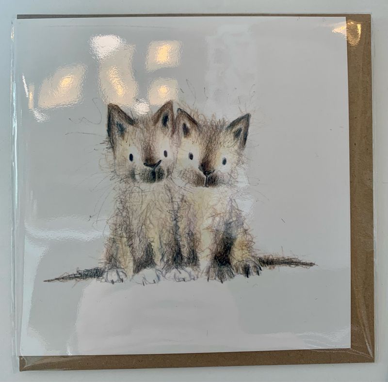 Karte „Katzenzwillinge“