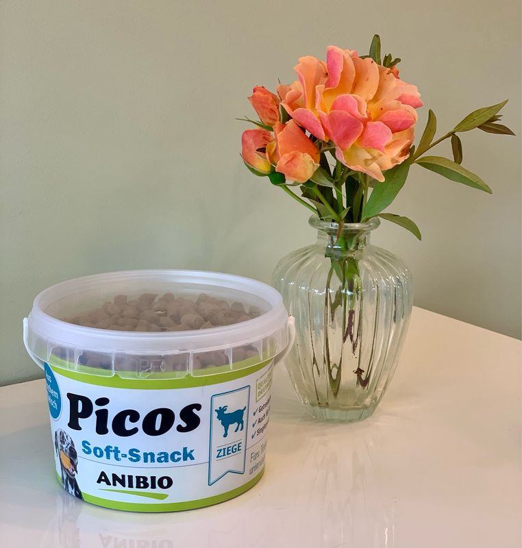 Anibio „Picos Ziege“