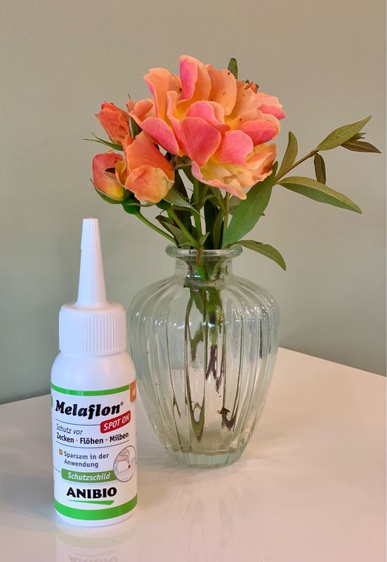Anibio „Melaflon SpotOn 50ml“