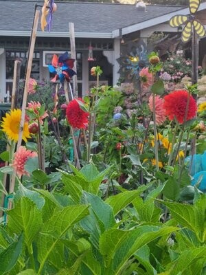 Take A Tour of the Gardens