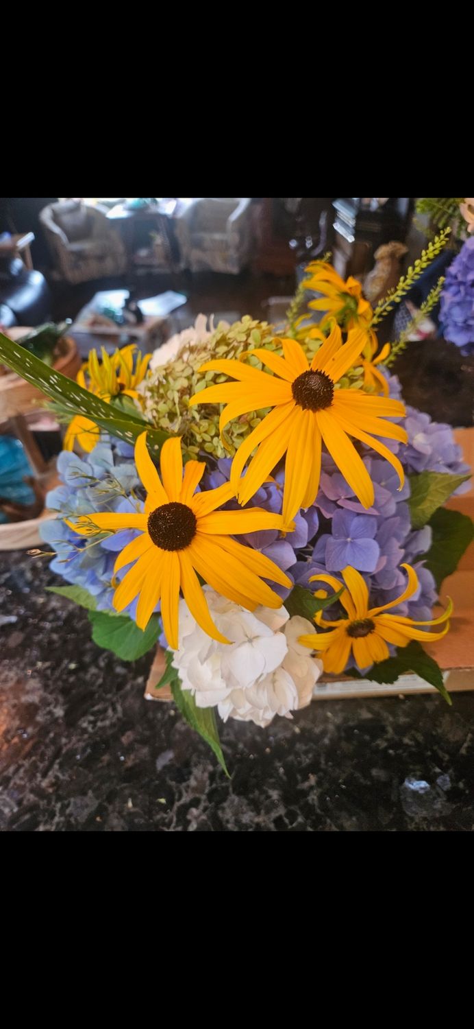Black eyed Susan - Seeds