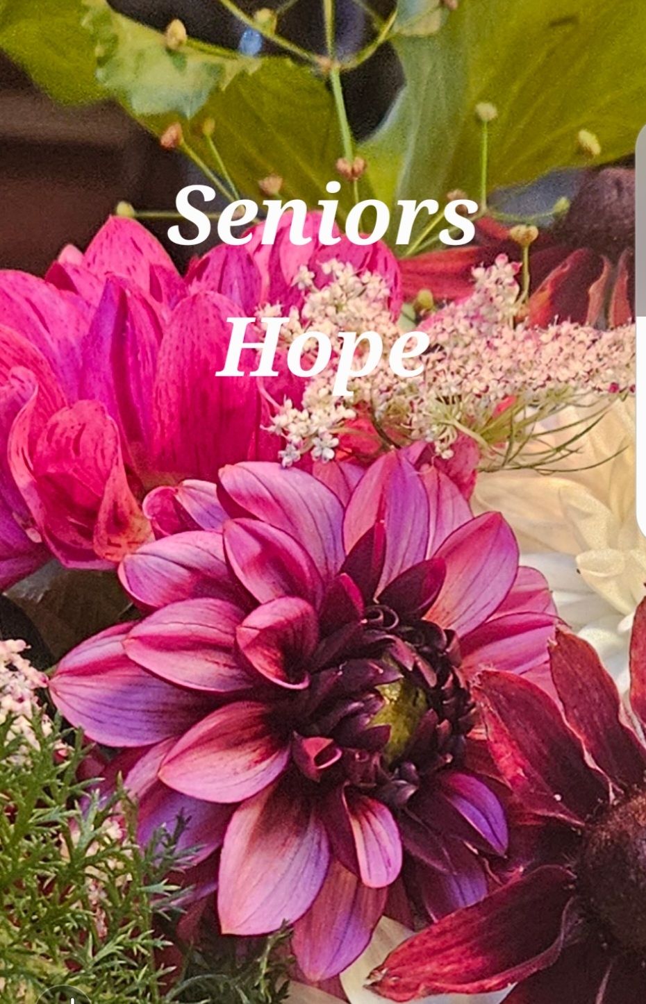 Seniors Hope