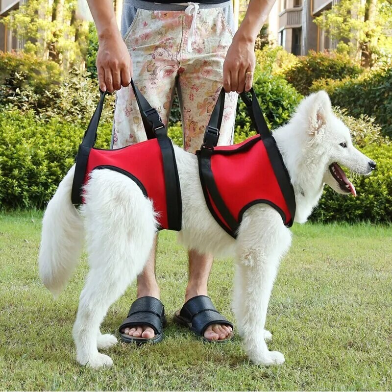 Dog Lift Harness Pet Stair Support Harness Vest