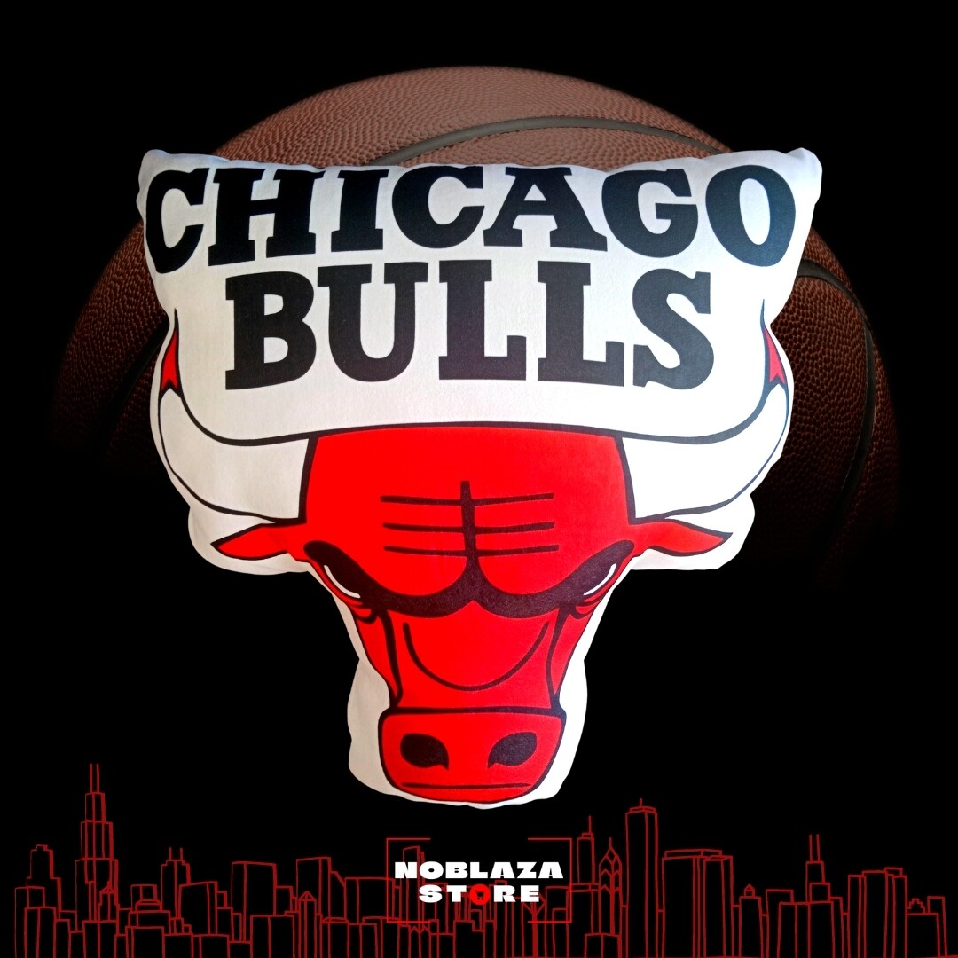 Chicago Bulls Cushion