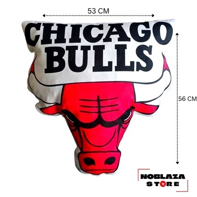 Chicago Bulls Cushion