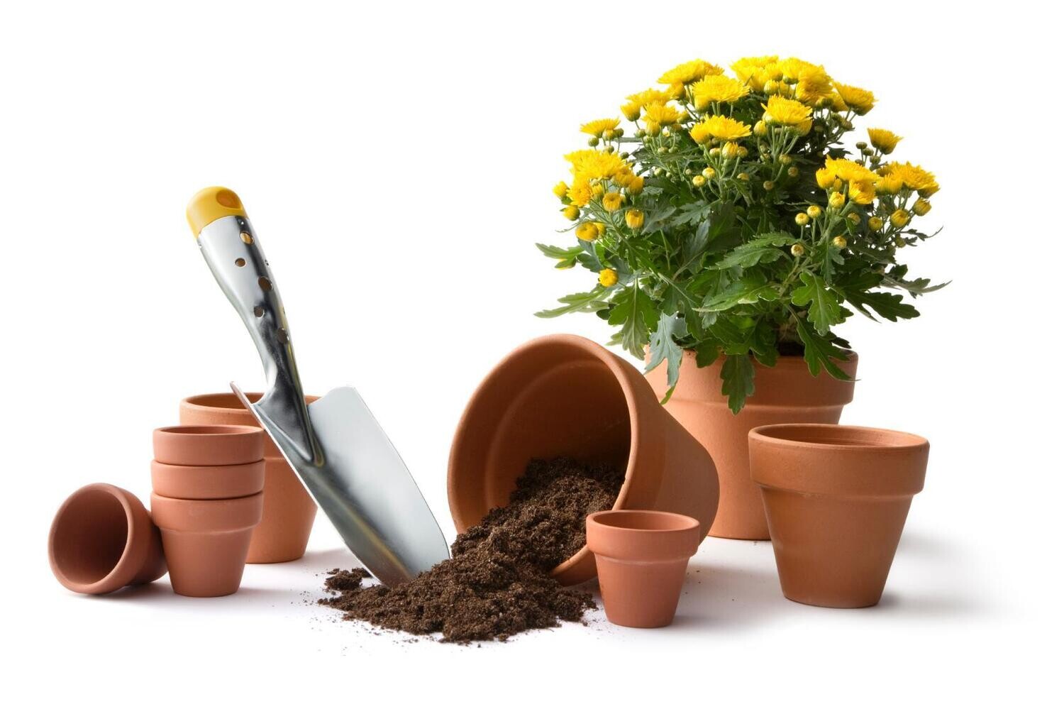 Pots de fleurs