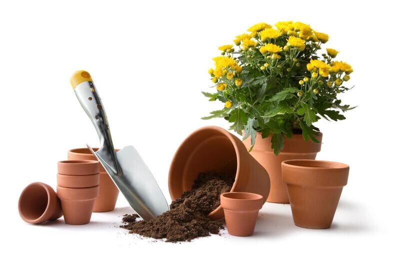 Pots de fleurs