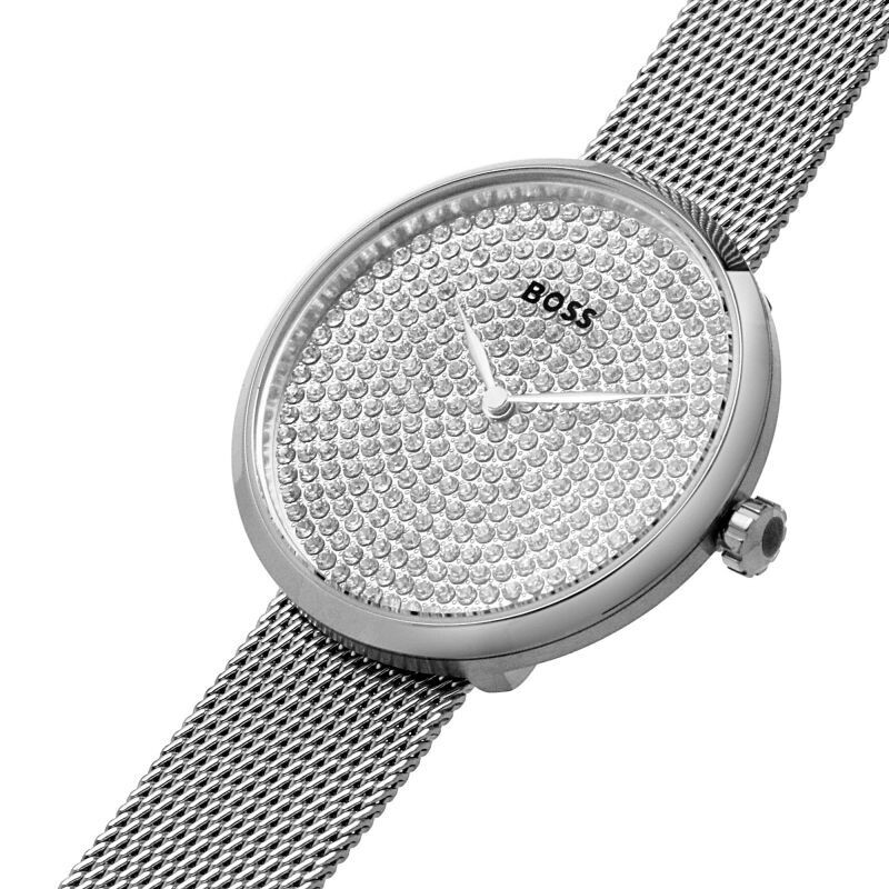 Hugo Boss 1502657 Womens Watch Silver Dial and silver Strap