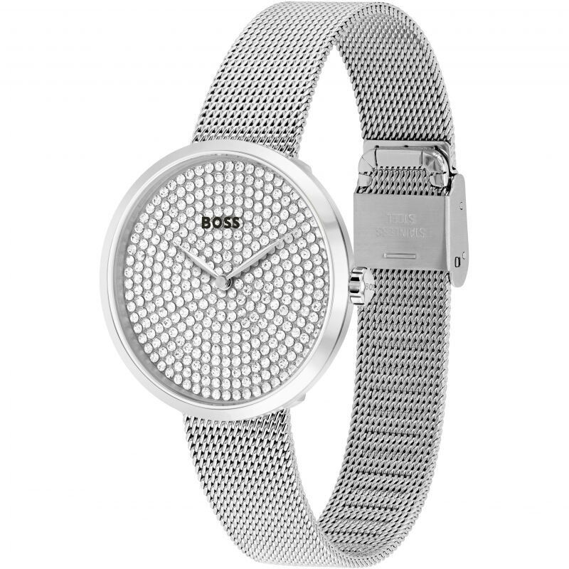 Hugo Boss 1502657 Womens Watch Silver Dial and silver Strap