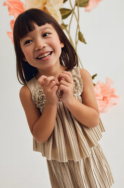 Abel & Lula 5071 Girls Shimmer Pleated Top & Skirt 2PC Set