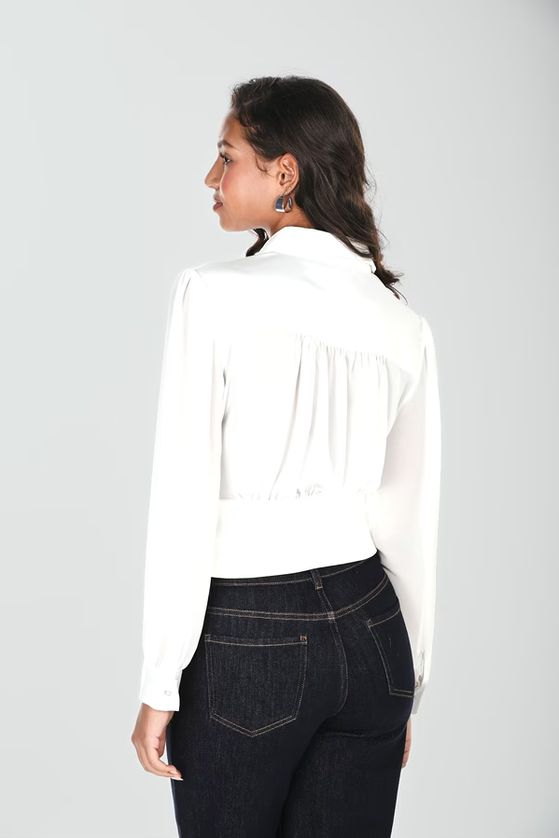 Frank Lyman 264805 Long Sleeve Button Collared Blouse