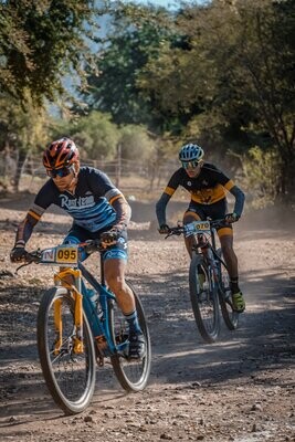 Mountain Bikes