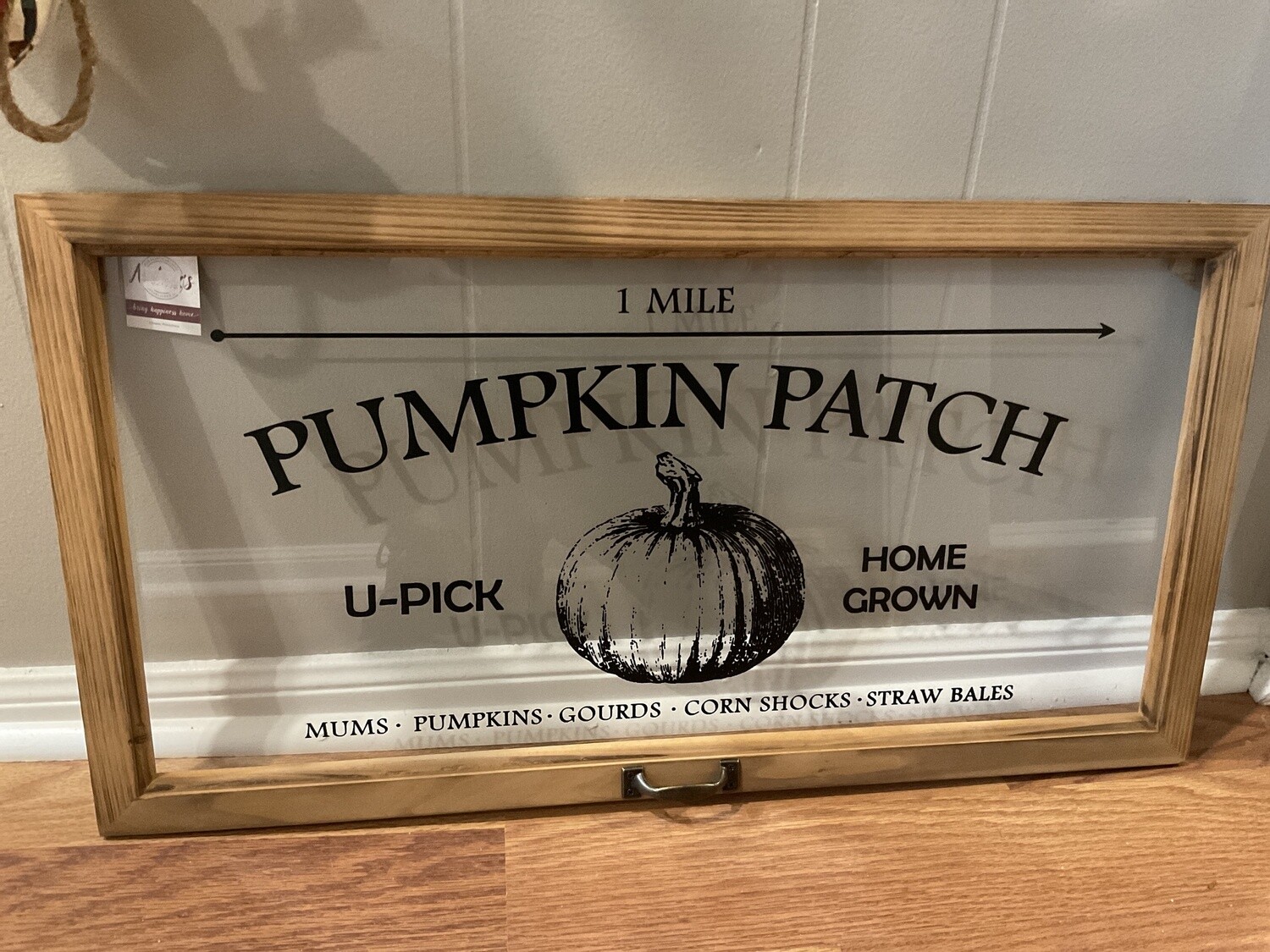 Pumpkin patch window