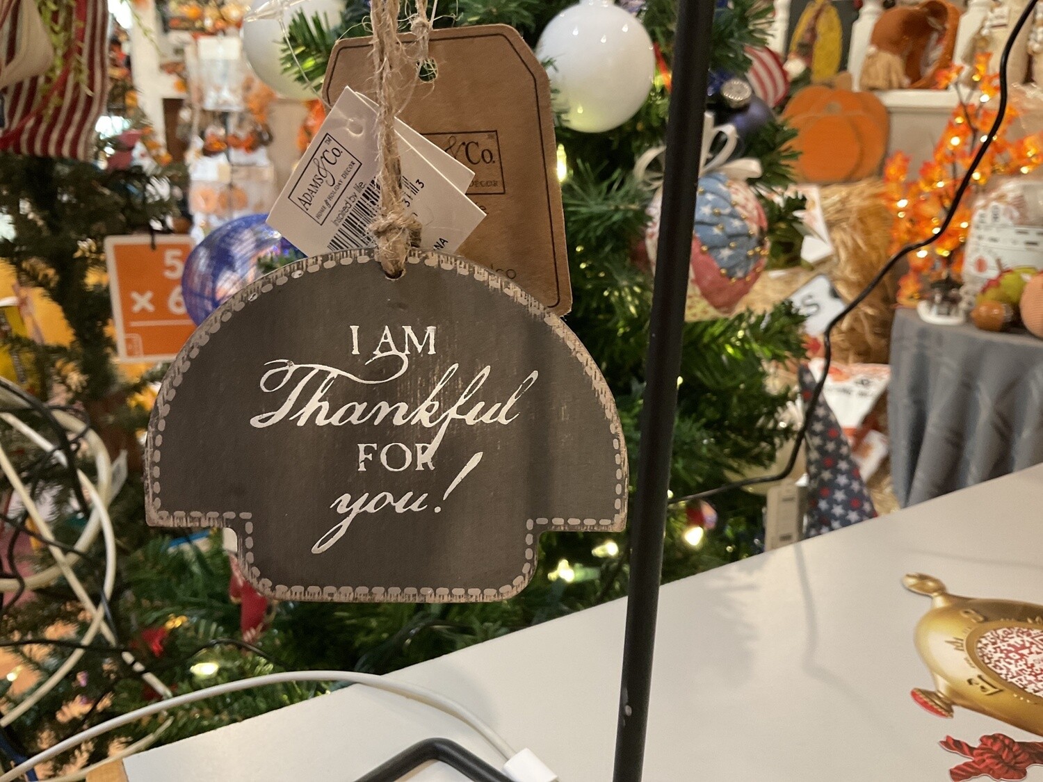 I am thankful for you turkey ornament