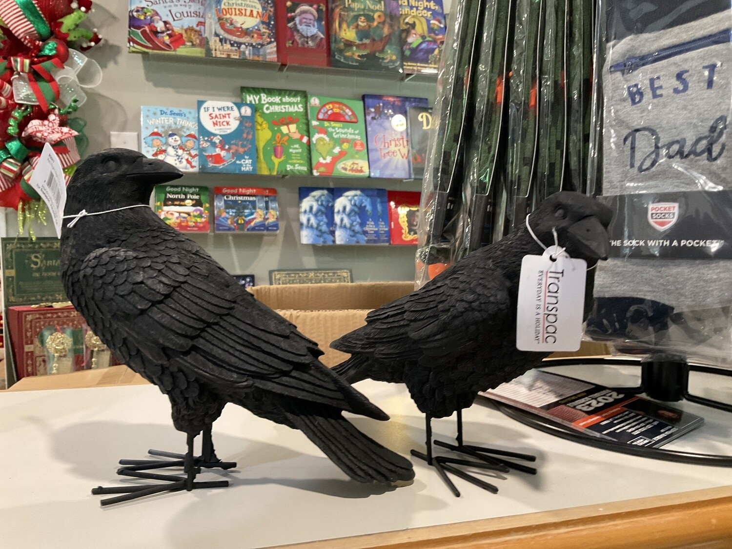 Fright night crow