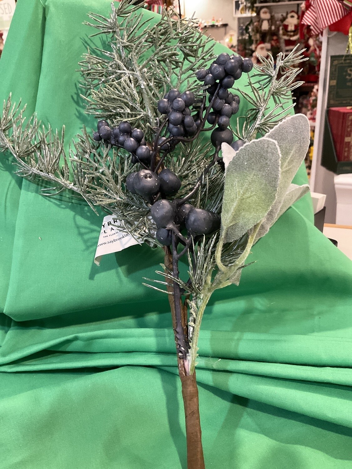 Blue Juniper pick