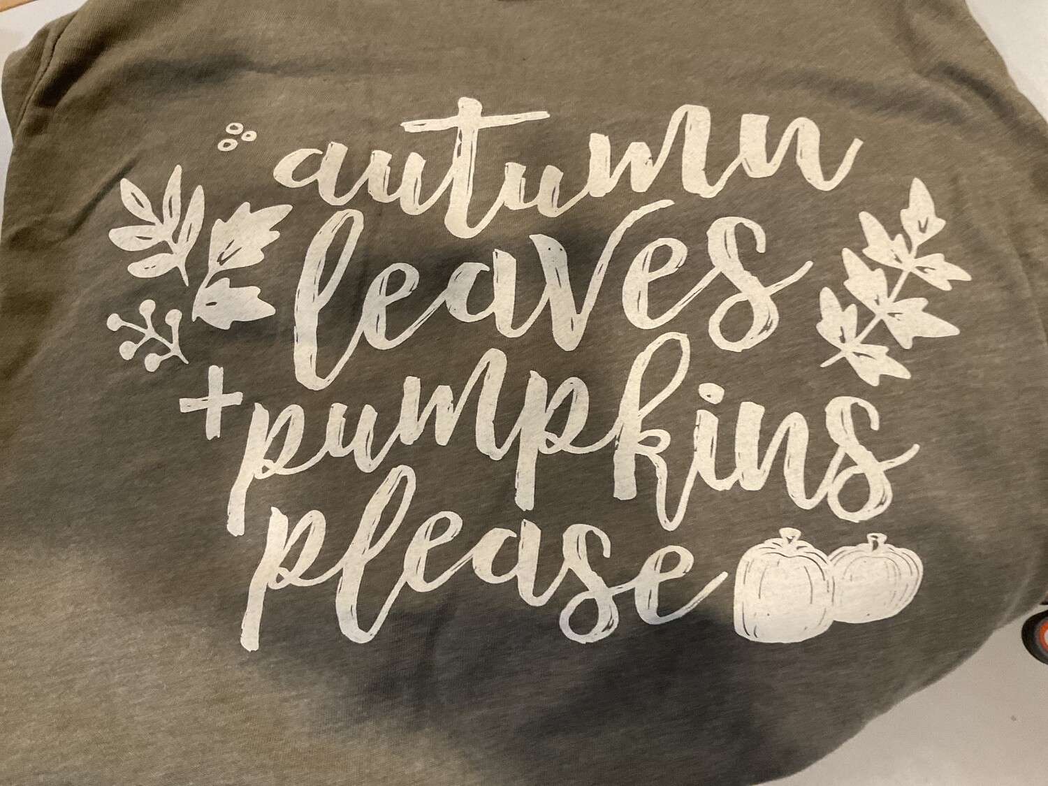 Autumn leaves and pumpkin, please T-shirt