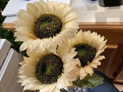 Sunset Meadows, sunflower, white/cream