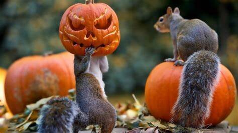 Halloween
