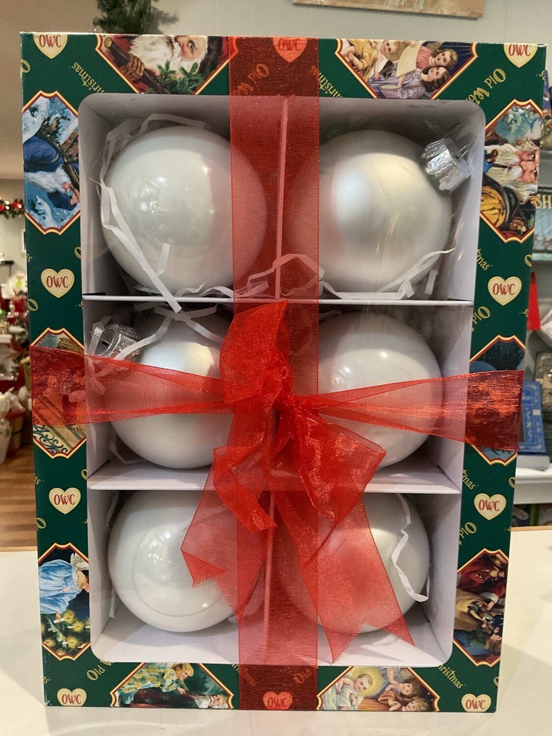 6 pack Wonderland
