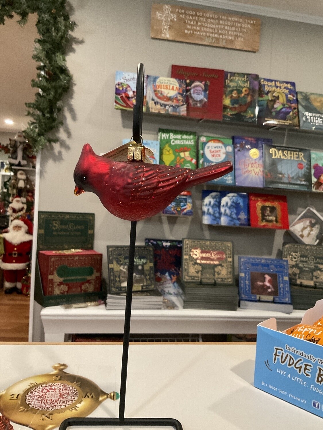 Northern Cardinal